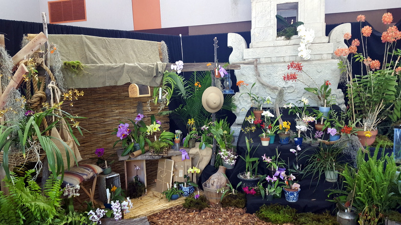 the-display nm orchid guild